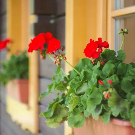 Aquapark Tatralandia 118 *